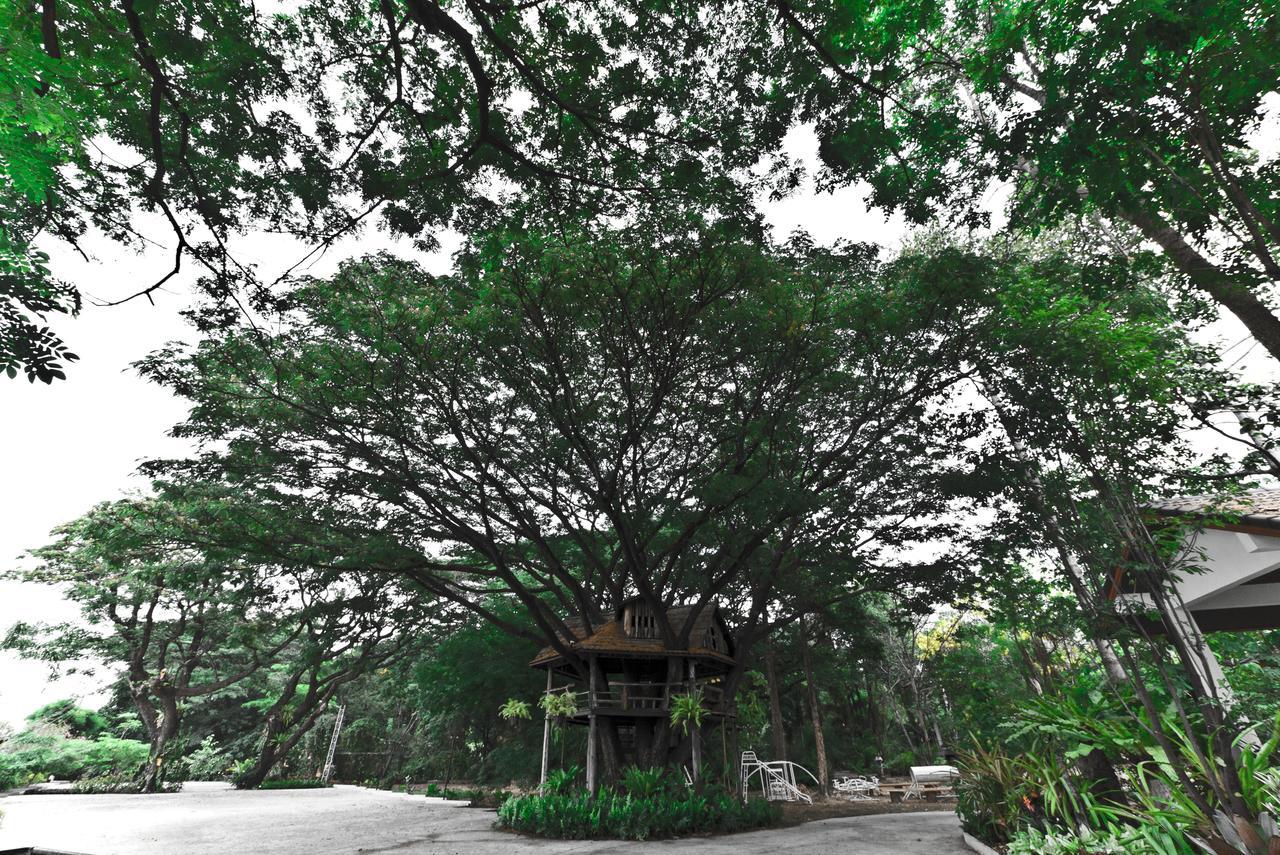 Tree House Hotel Sisaket Exteriör bild